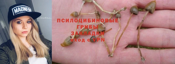бошки Белокуриха