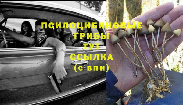 хмурый Приозерск