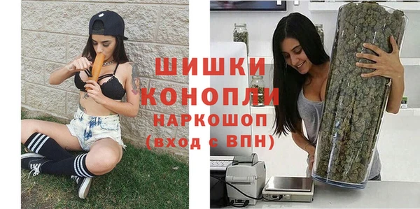 бошки Белокуриха
