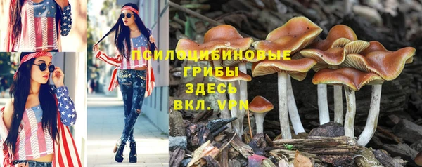 MESCALINE Беломорск