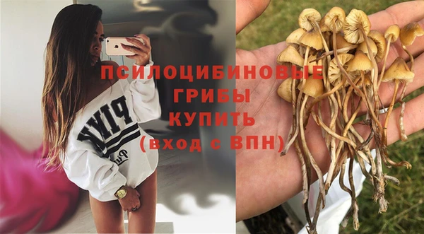 крисы Белоозёрский