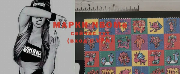 крисы Белоозёрский
