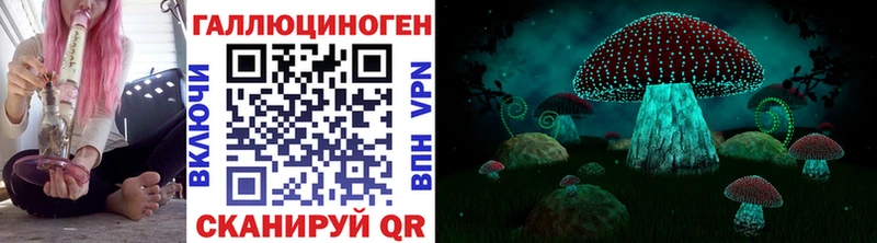 Псилоцибиновые грибы GOLDEN TEACHER цены наркотик ОМГ ОМГ сайт Пикалёво